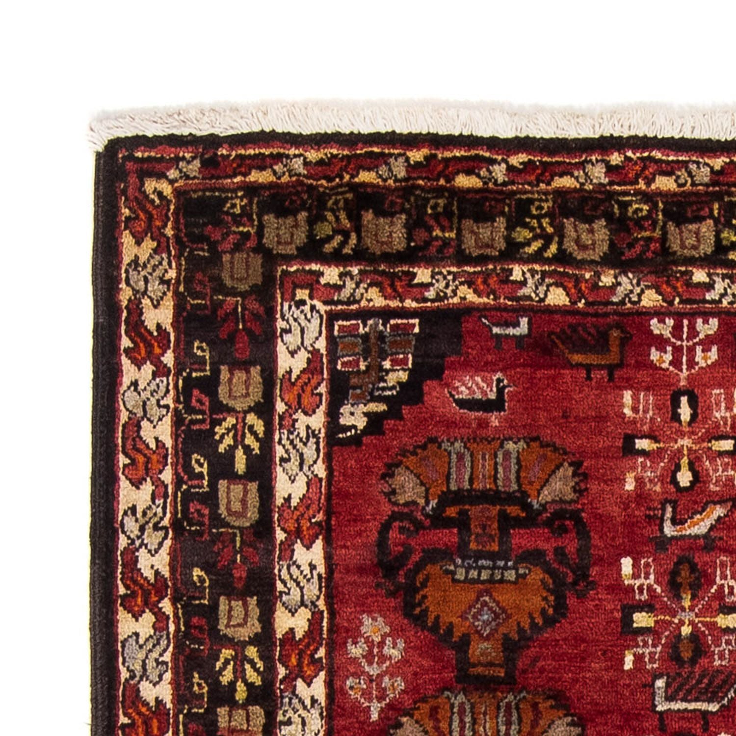 Alfombra de pasillo Alfombra Belutsch - 181 x 107 cm - rojo