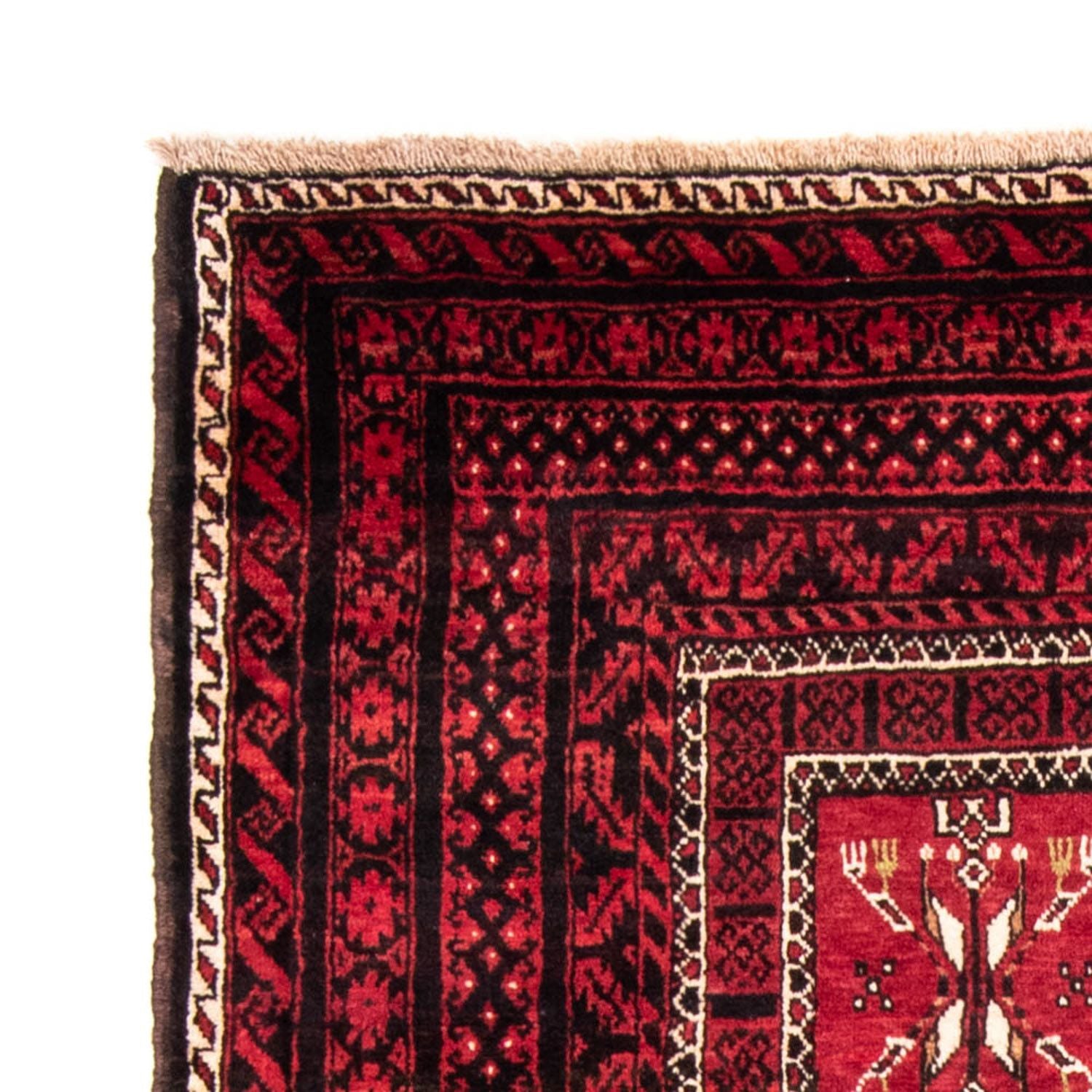 Alfombra de pasillo Alfombra Belutsch - 220 x 114 cm - rojo