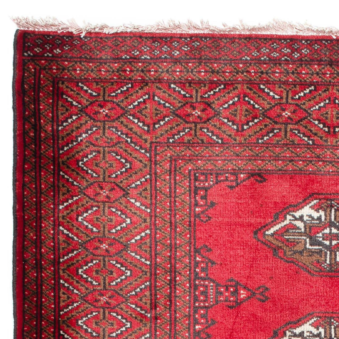 Alfombra Belutsch 144x103cm - Alfombra oriental
