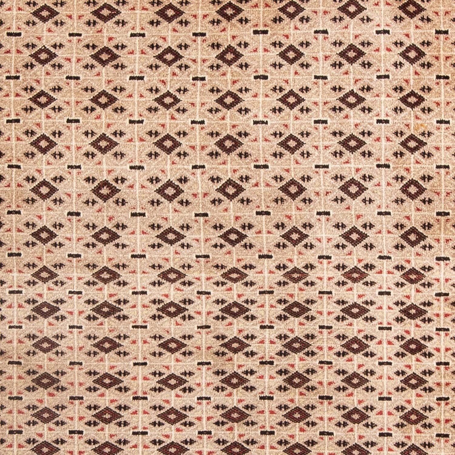 Alfombra Belutsch - 181 x 134 cm - beige