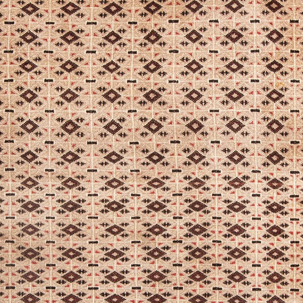 Alfombra Belutsch - 181 x 134 cm - beige