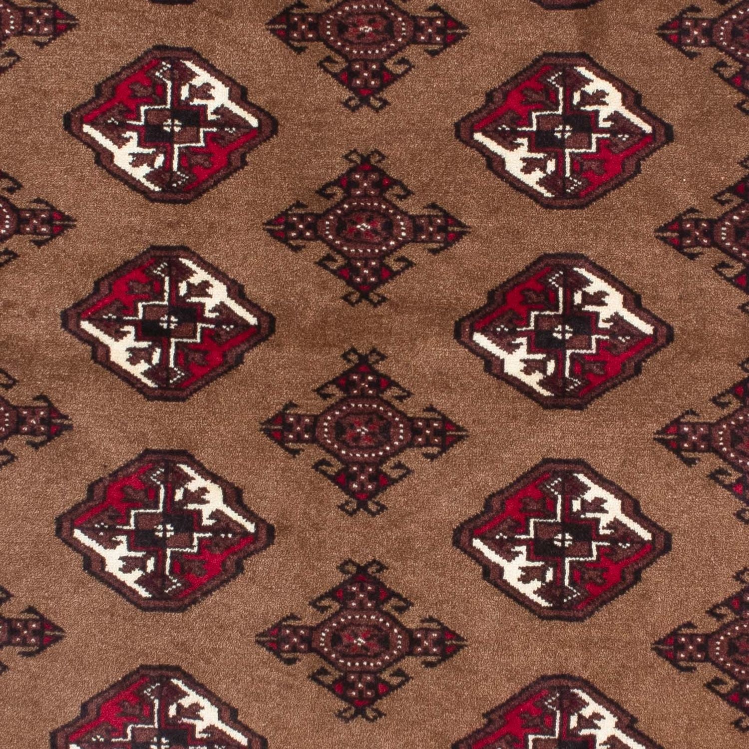 Alfombra Belutsch - 151 x 102 cm - marrón