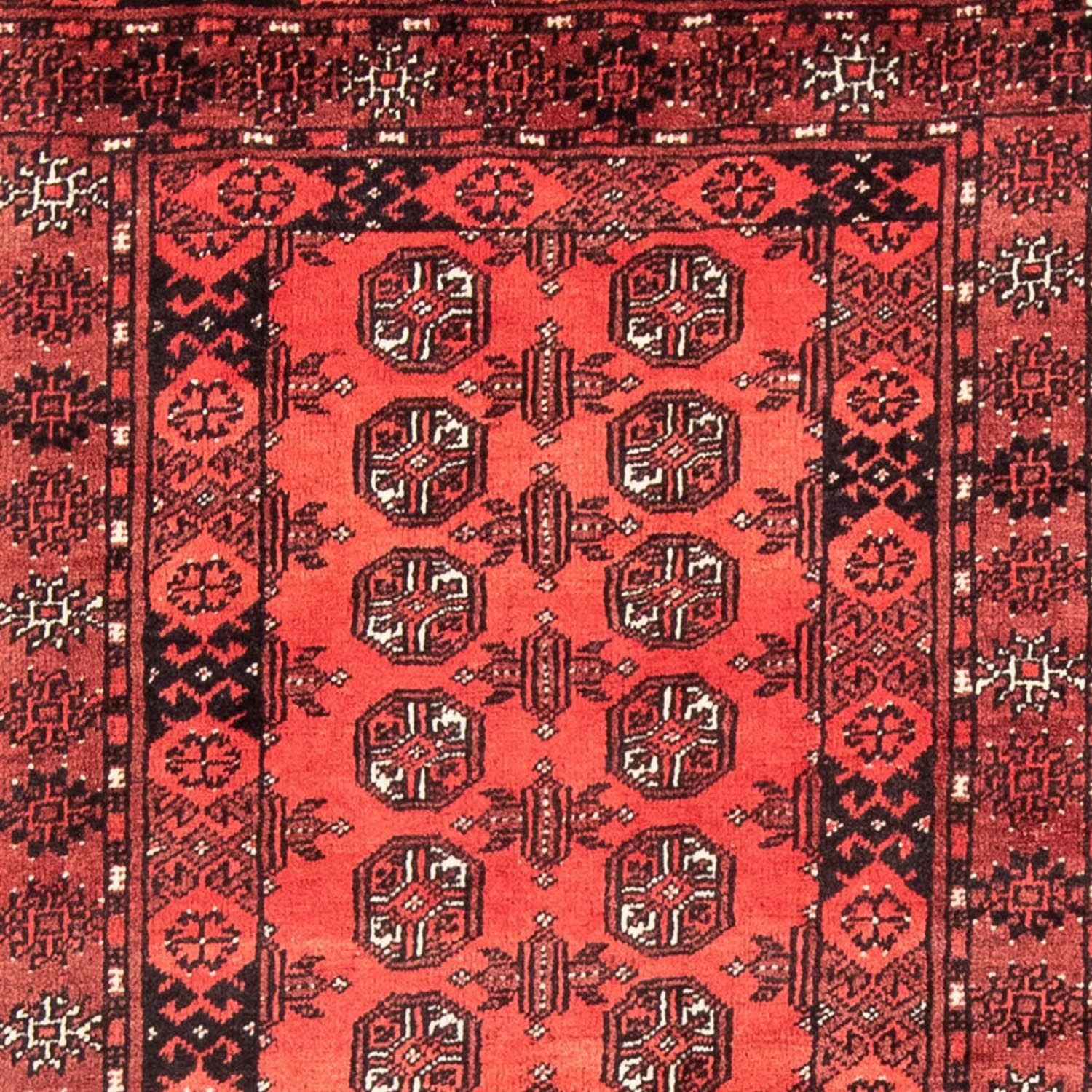 Alfombra de pasillo Alfombra Belutsch - 179 x 102 cm - rojo