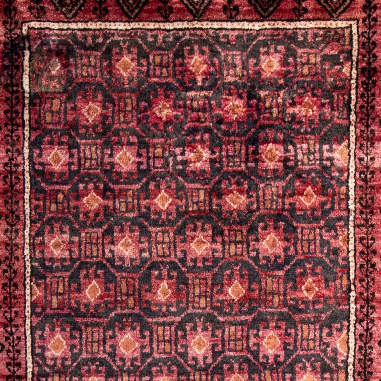 Alfombra de pasillo Alfombra Belutsch - 227 x 110 cm - rojo claro