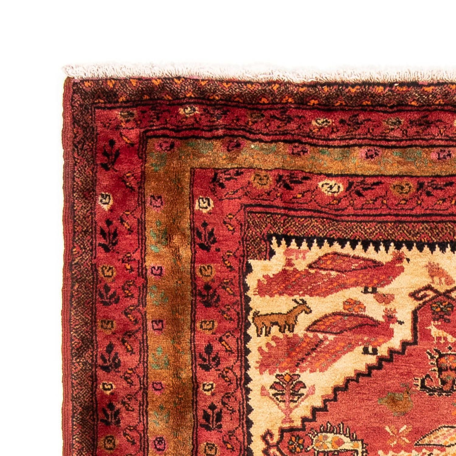 Alfombra Belutsch - 224 x 134 cm - rojo