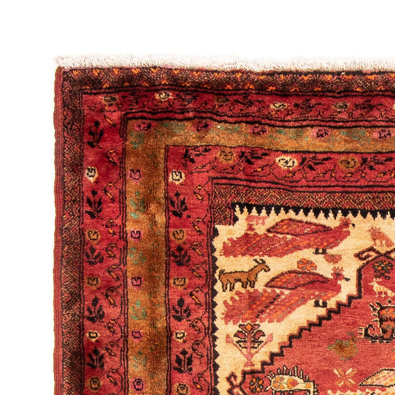Alfombra Belutsch - 224 x 134 cm - rojo