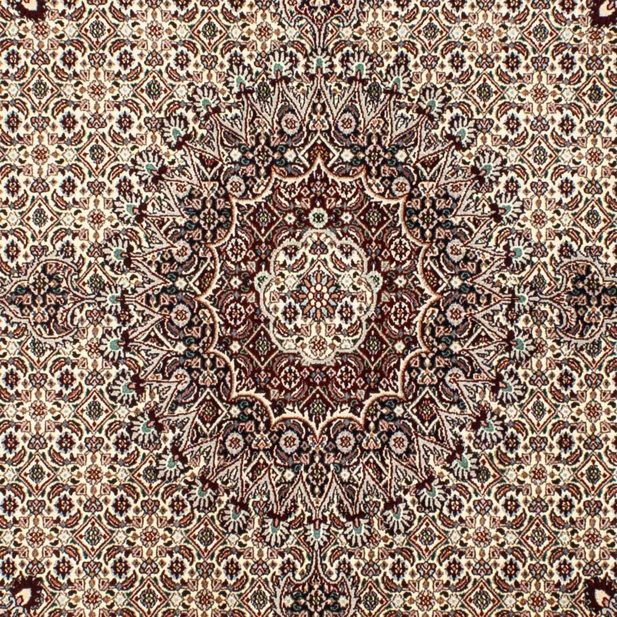 Alfombra persa - Clásica cuadrado  - 209 x 201 cm - beige