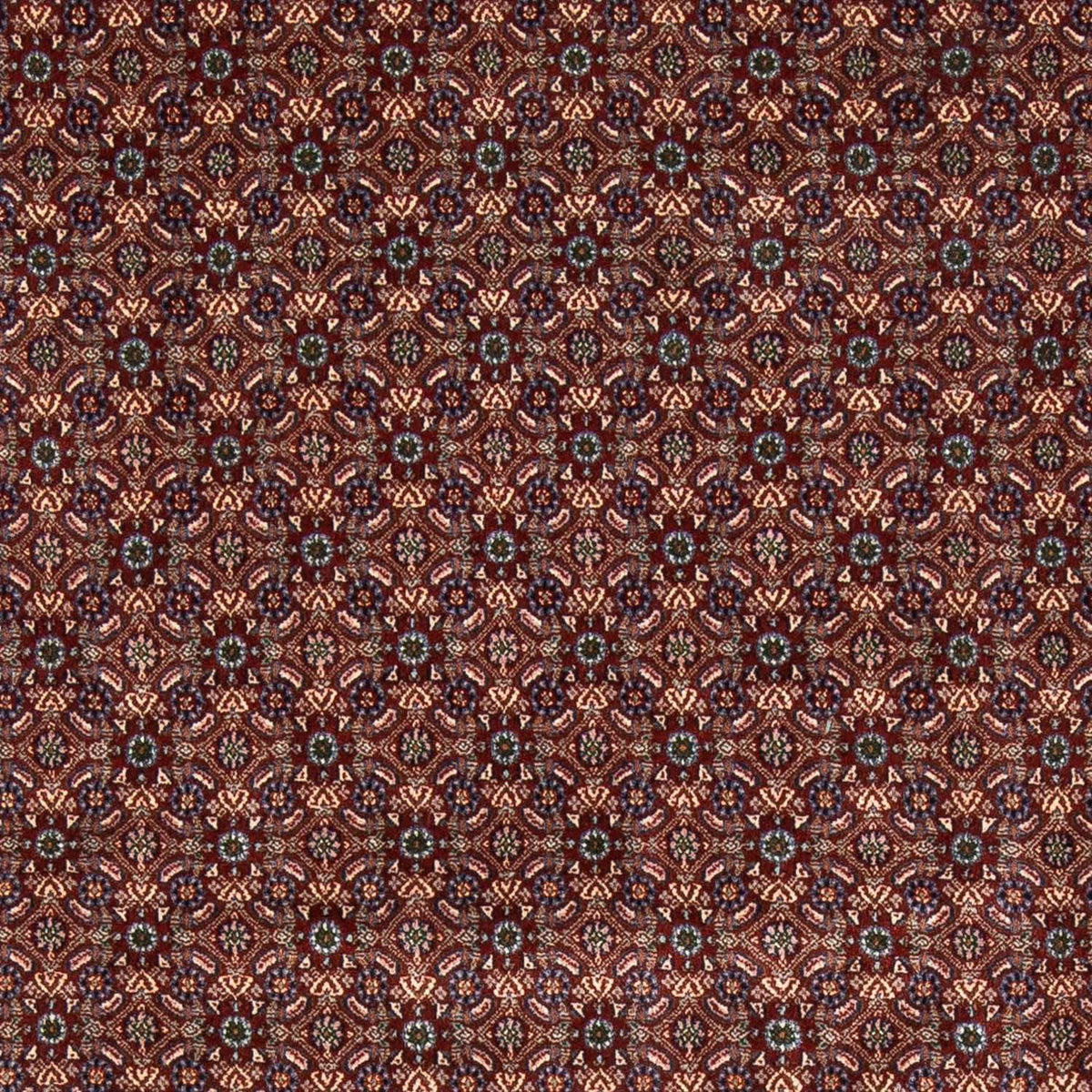 Alfombra persa - Clásica cuadrado  - 197 x 196 cm - rojo oscuro
