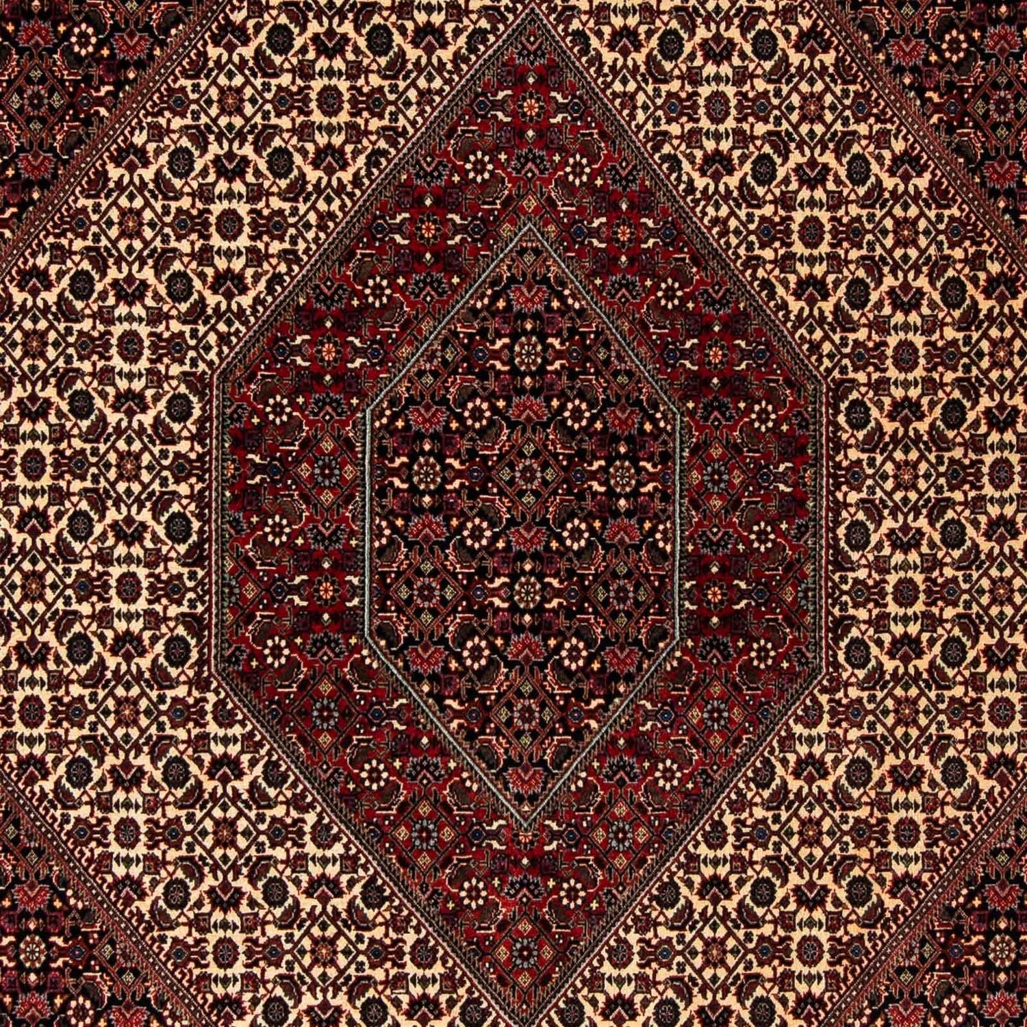 Alfombra persa - Bidjar - 248 x 202 cm - rojo oscuro