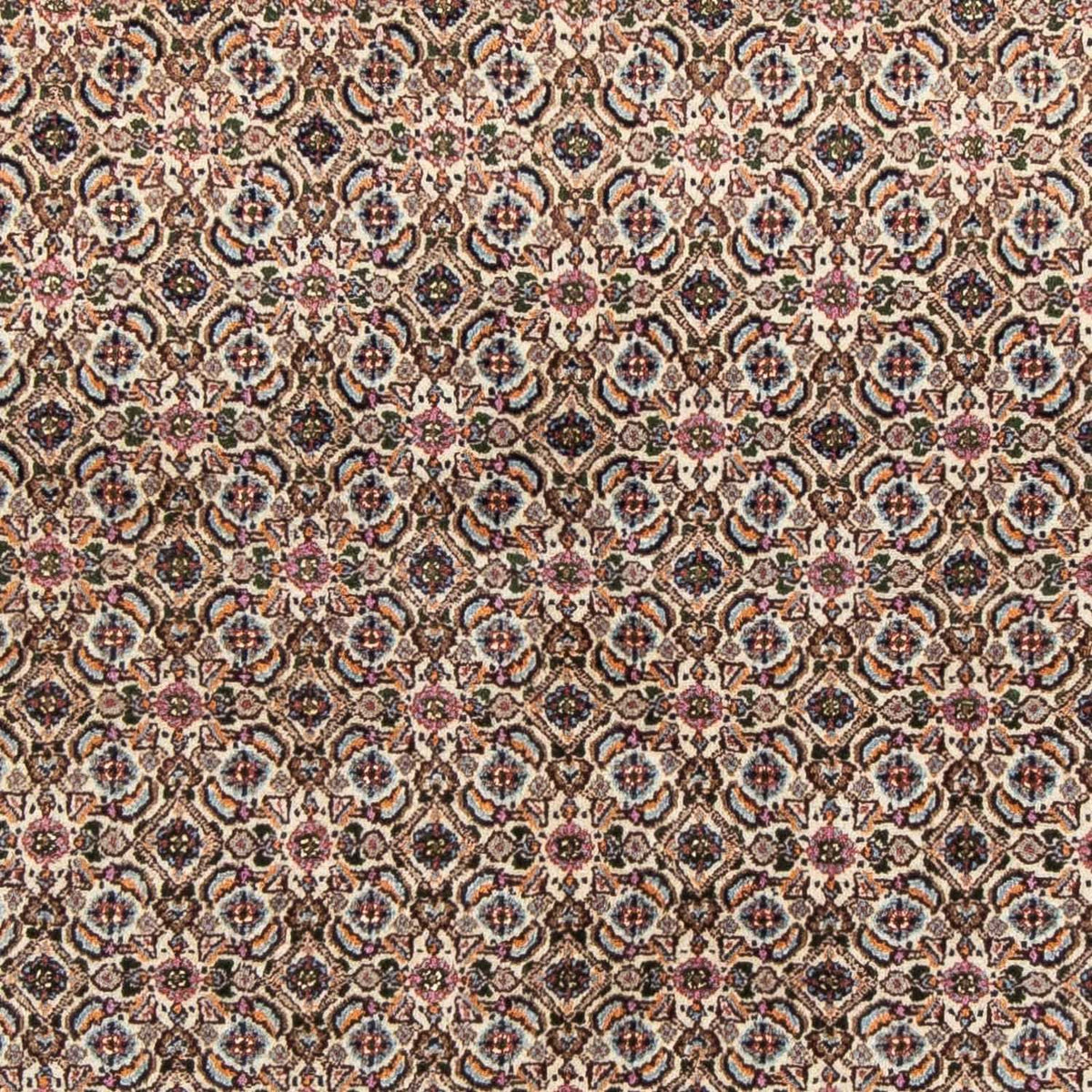 Alfombra persa - Clásica - 237 x 157 cm - beige