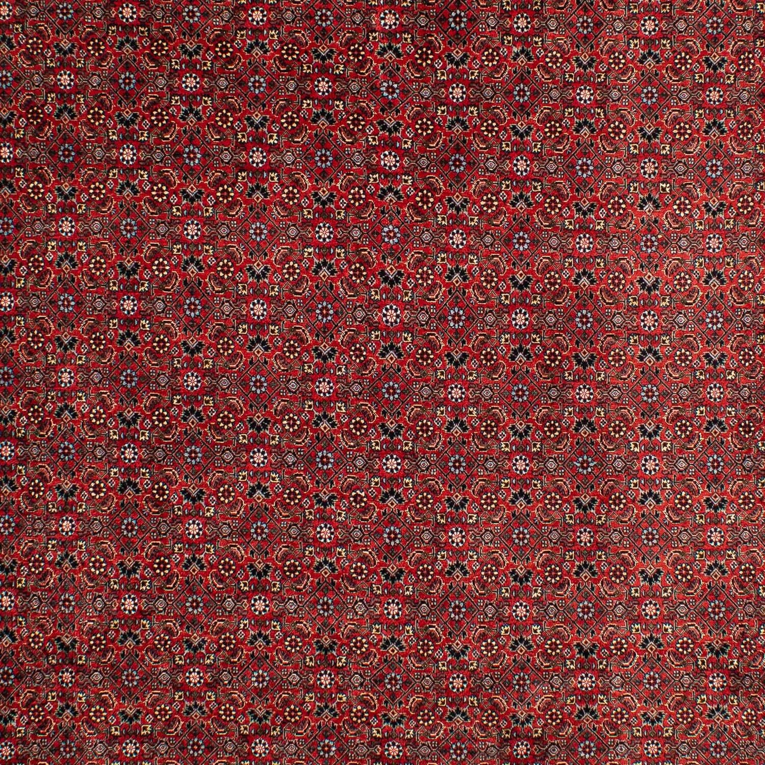 Alfombra persa - Bidjar - 295 x 203 cm - rojo oscuro