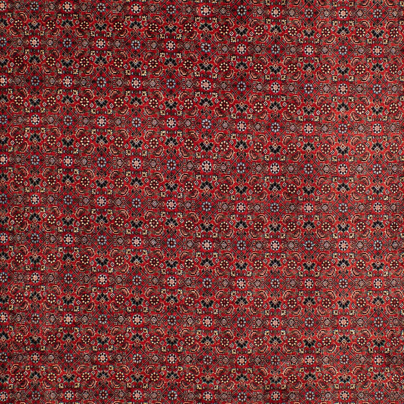 Alfombra persa - Bidjar - 295 x 203 cm - rojo oscuro