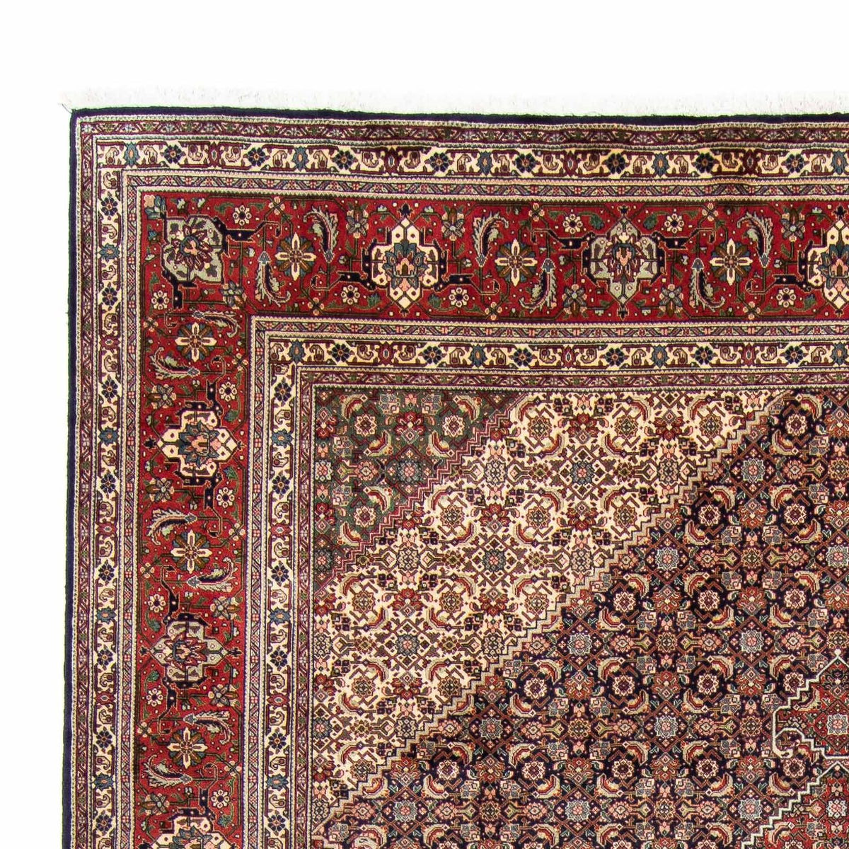 Tabriz Alfombra 246x343cm - Alfombra persa