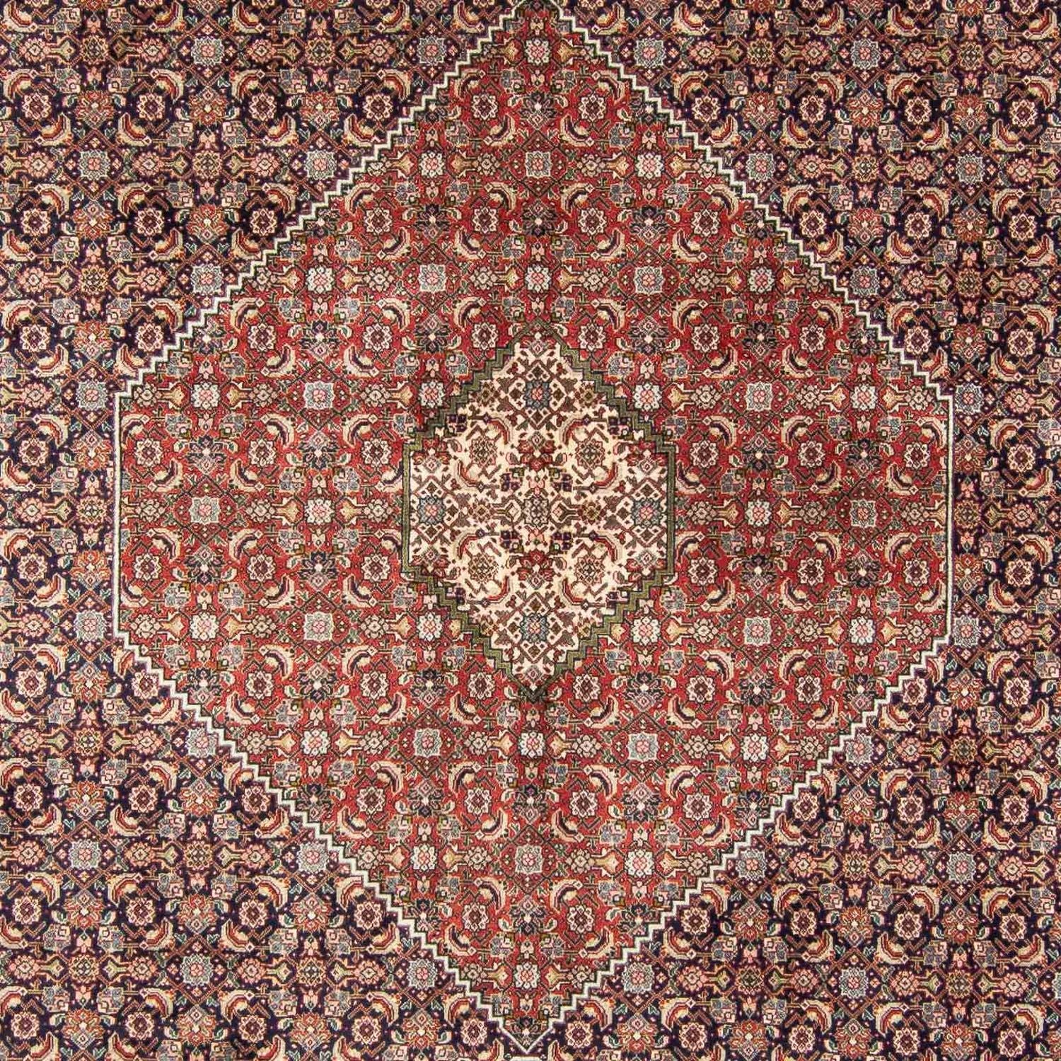 Alfombra persa - Tabriz - 343 x 247 cm - multicolor