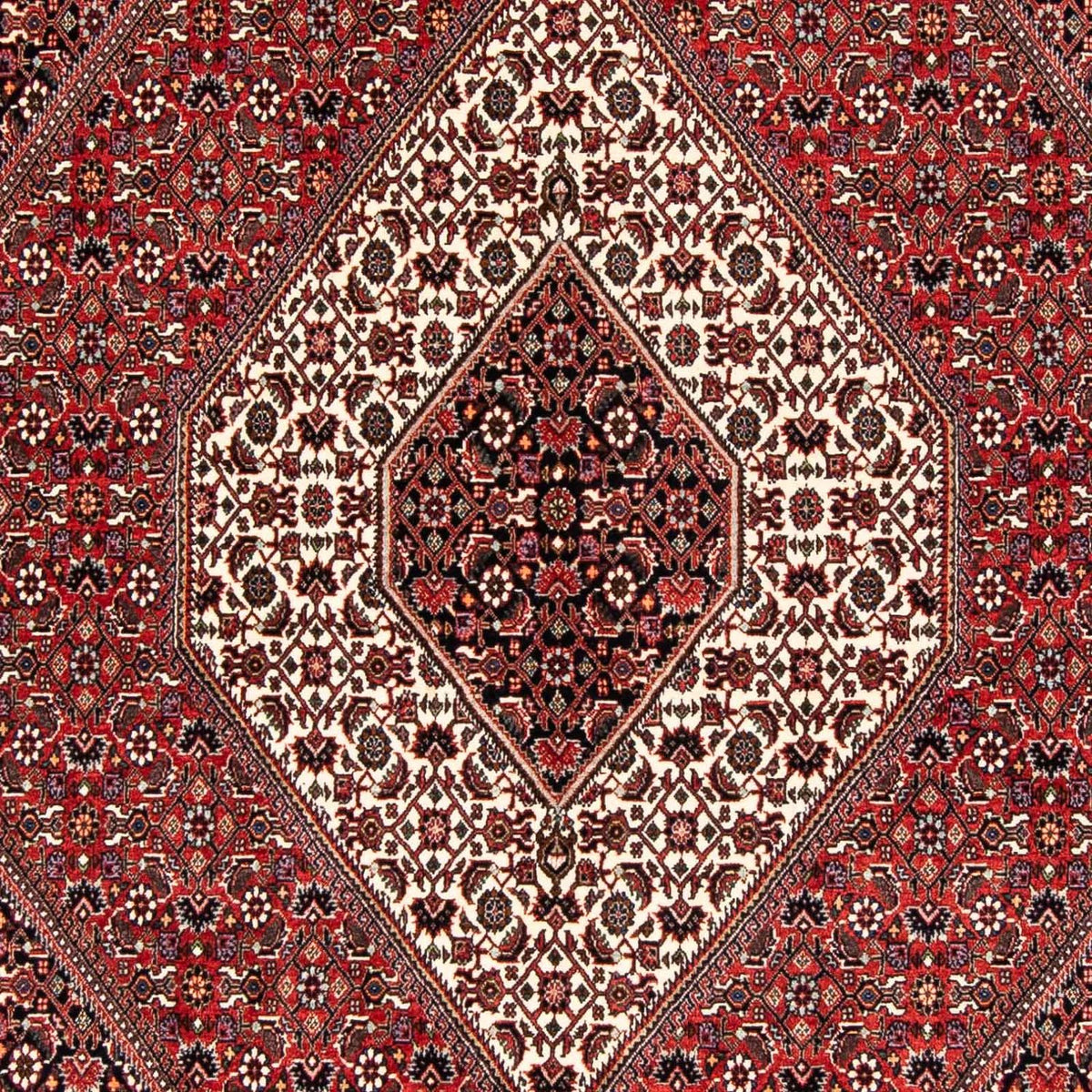Alfombra persa - Bidjar - 243 x 170 cm - rojo claro