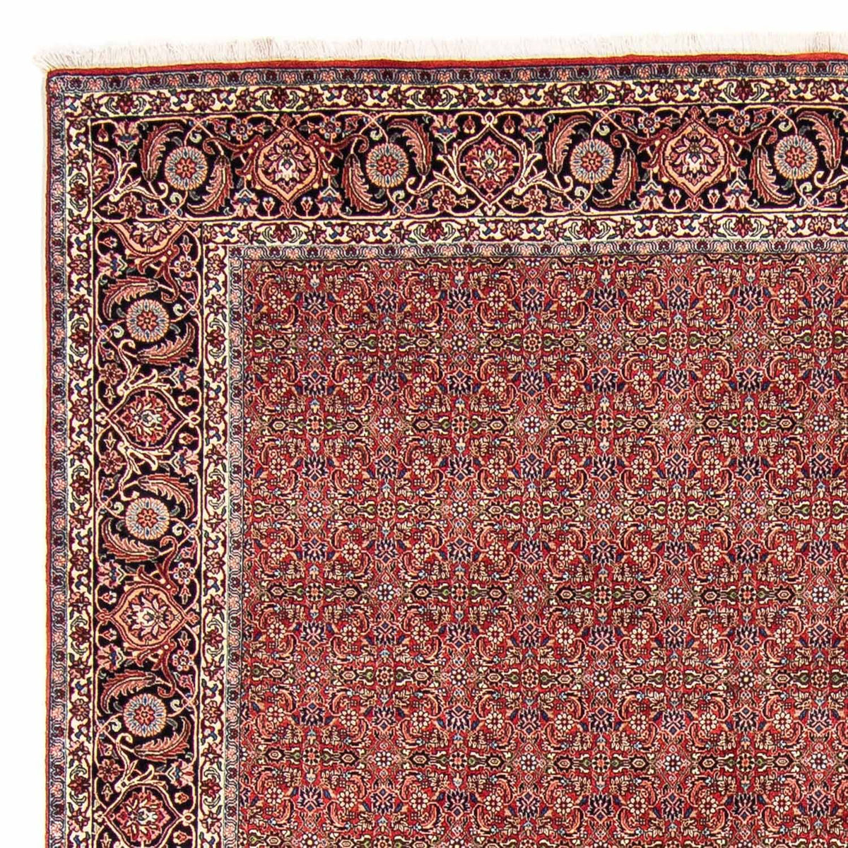 Alfombra persa - Bidjar - 300 x 252 cm - rojo oscuro