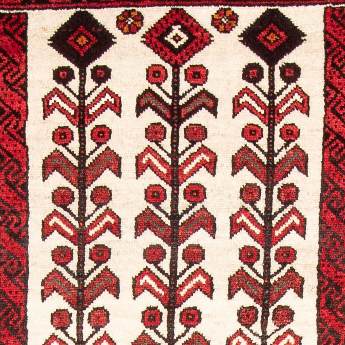 Alfombra de pasillo Alfombra Belutsch - 204 x 109 cm - beige