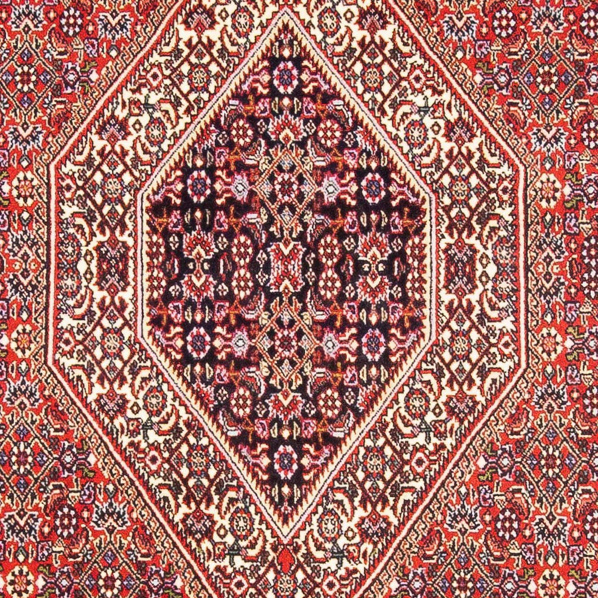 Alfombra persa - Bidjar - 182 x 112 cm - rojo claro