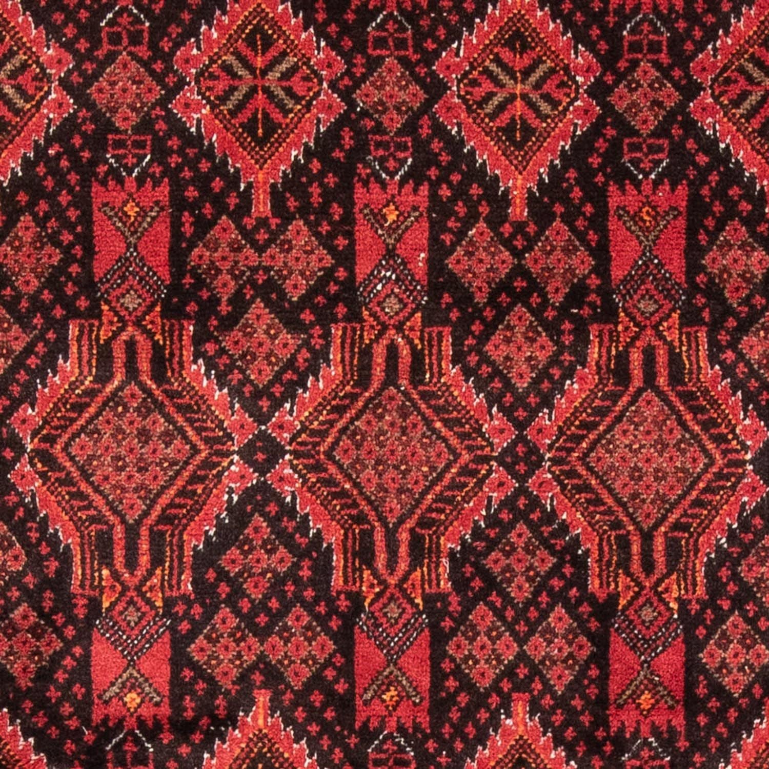 Alfombra de pasillo Alfombra Belutsch - 181 x 102 cm - rojo