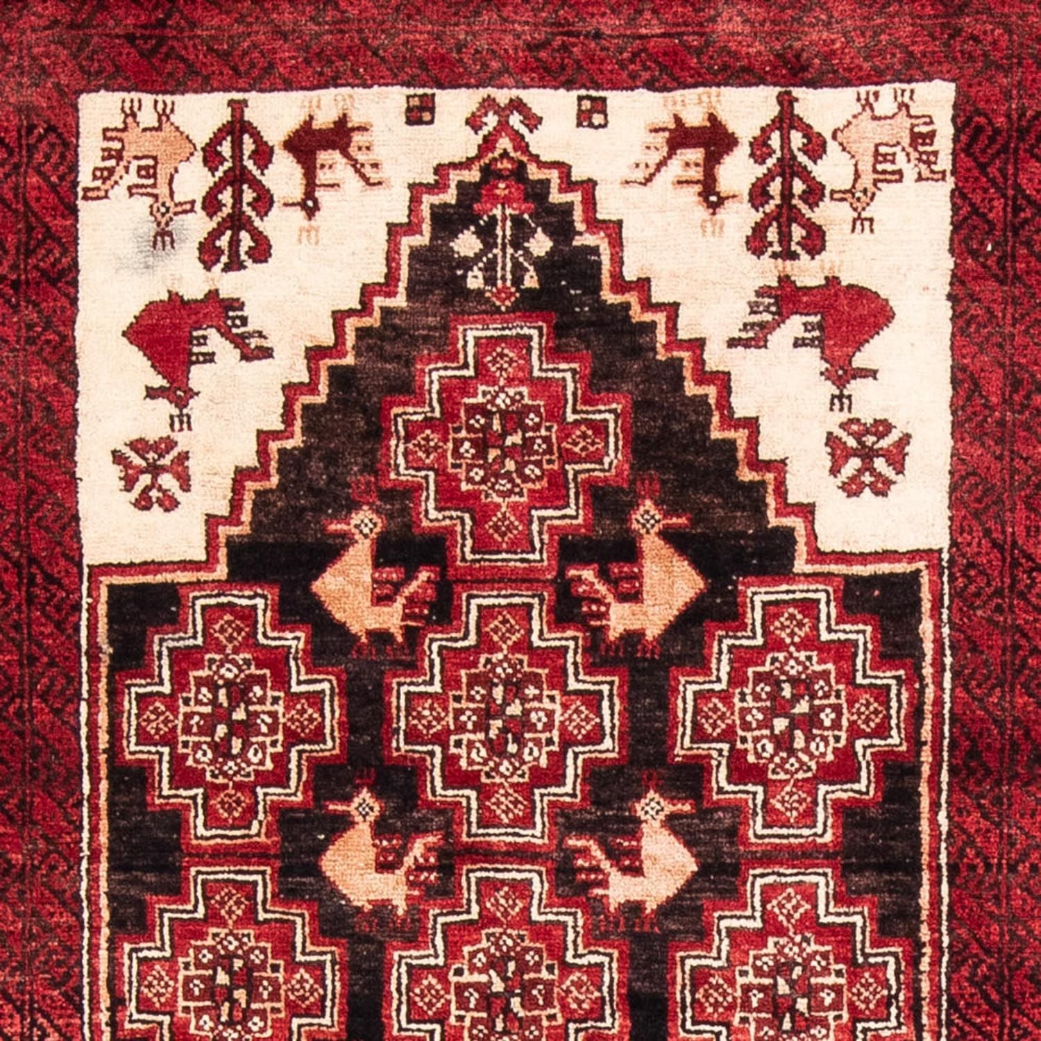 Alfombra de pasillo Alfombra Belutsch - 202 x 100 cm - rojo