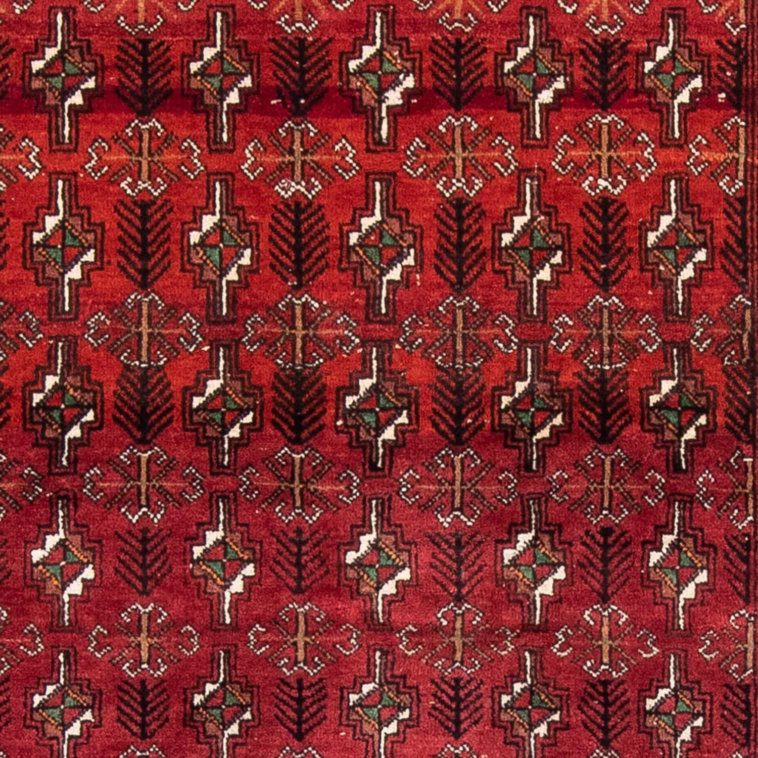 Alfombra de pasillo Alfombra Belutsch - 187 x 105 cm - rojo