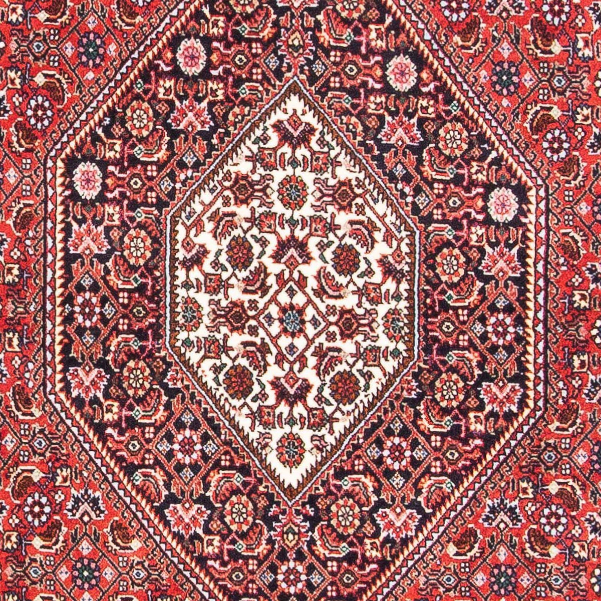 Alfombra persa - Bidjar - 186 x 110 cm - rojo
