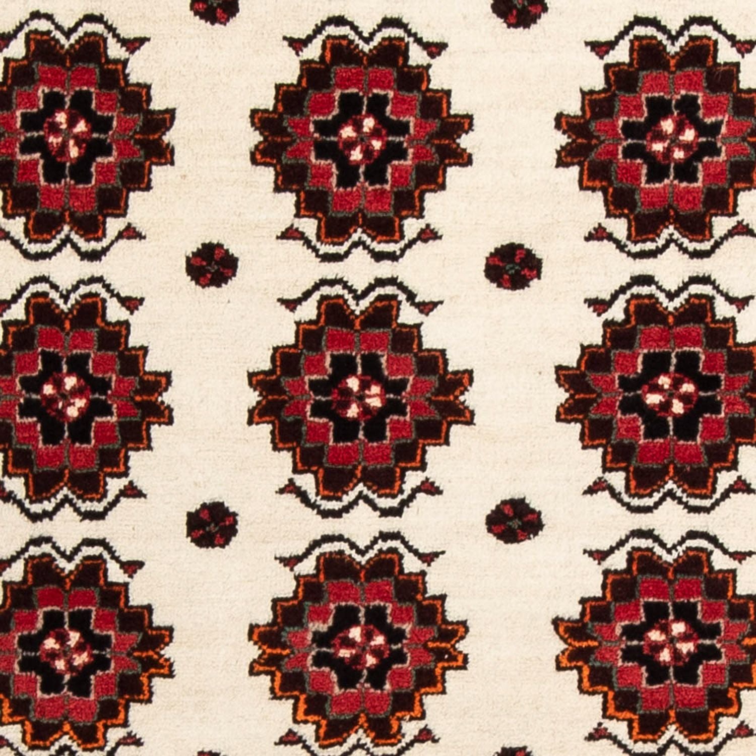 Alfombra de pasillo Alfombra Belutsch - 185 x 99 cm - beige