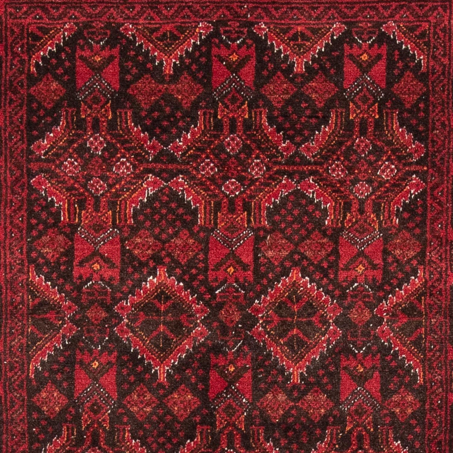 Alfombra de pasillo Alfombra Belutsch - 196 x 100 cm - rojo