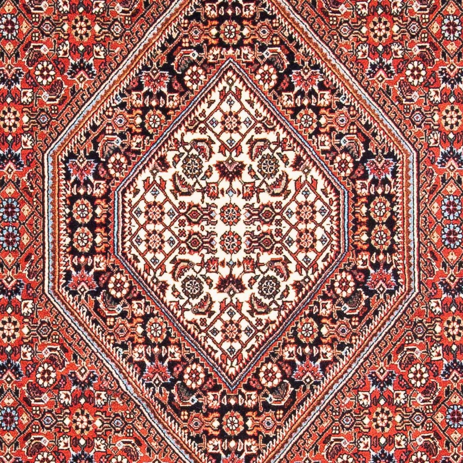 Alfombra persa - Bidjar - 186 x 109 cm - rojo