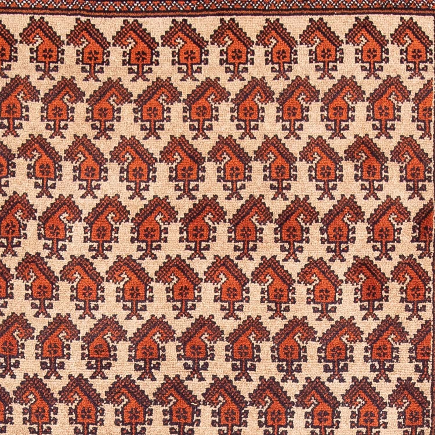 Alfombra de pasillo Alfombra Belutsch - 178 x 100 cm - beige
