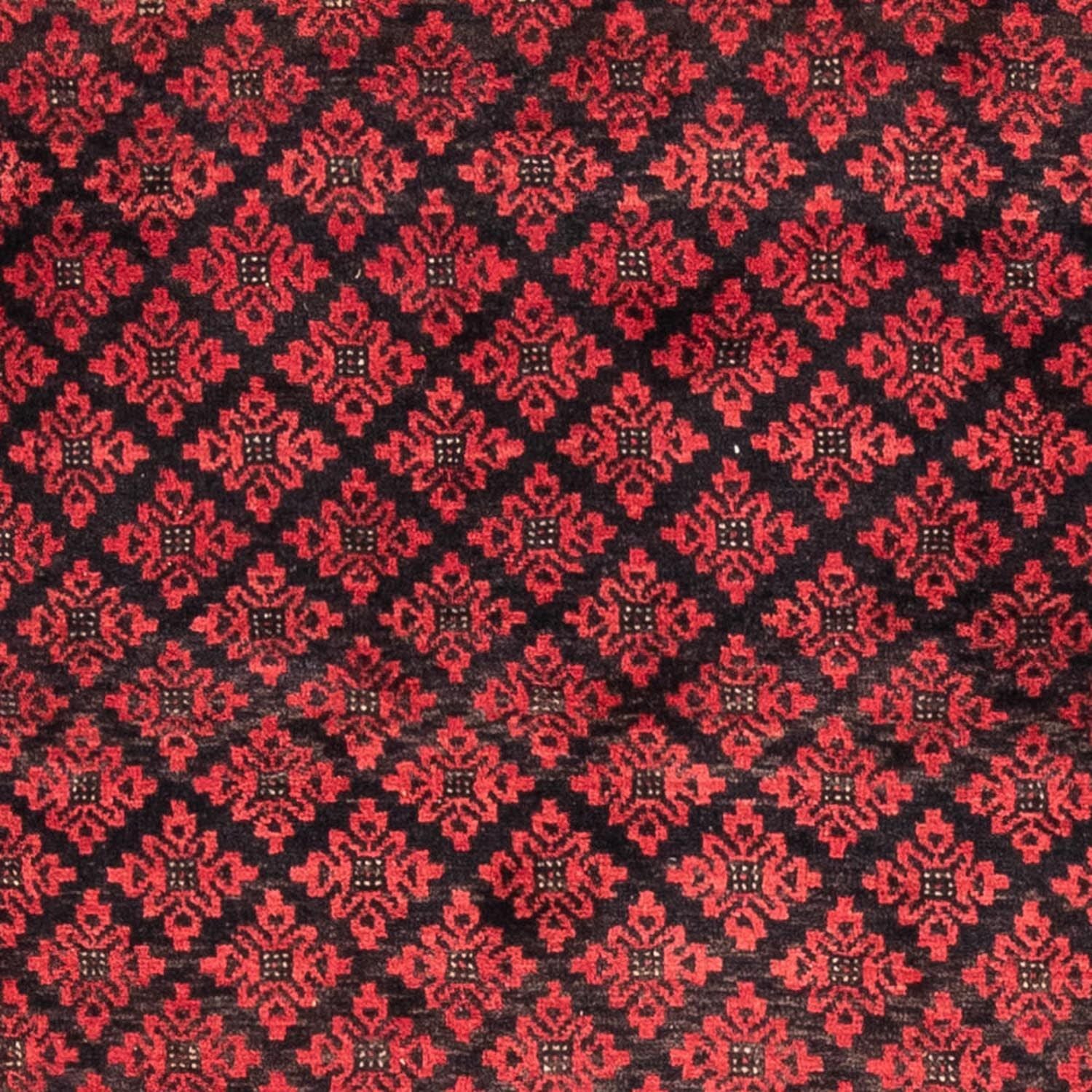 Alfombra de pasillo Alfombra Belutsch - 181 x 100 cm - rojo