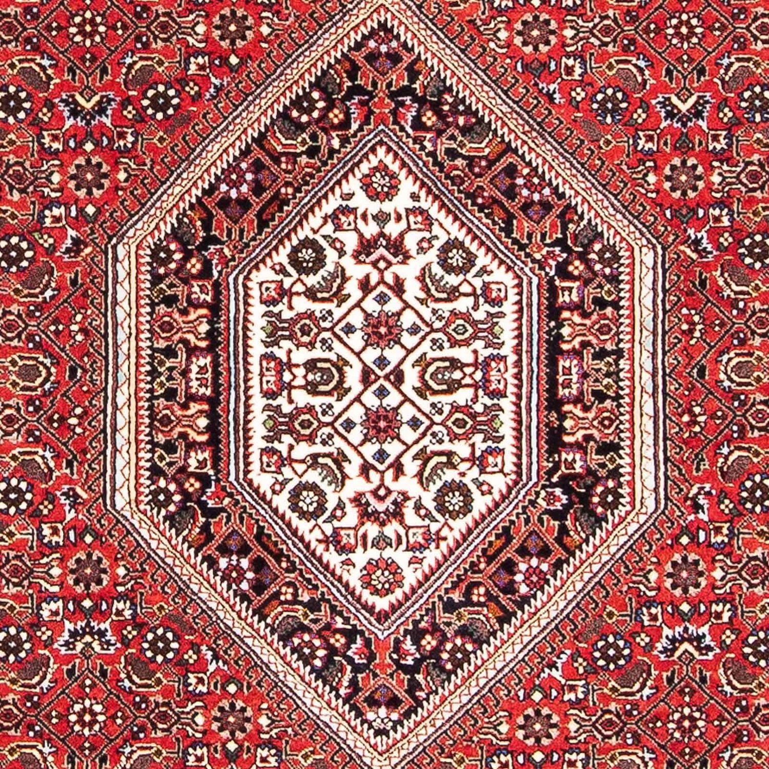Alfombra persa - Bidjar - 167 x 108 cm - rojo