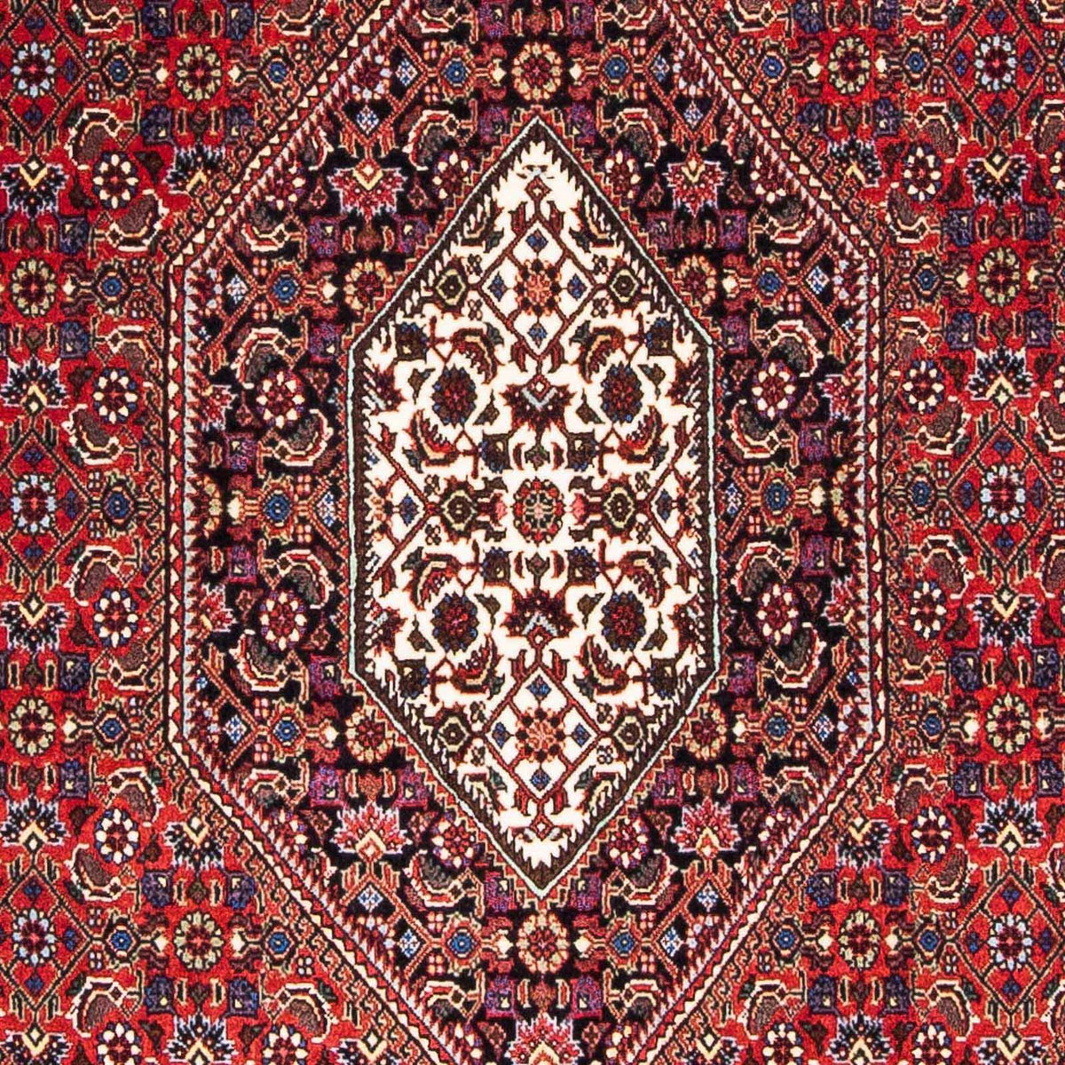 Alfombra persa - Bidjar - 176 x 112 cm - rojo
