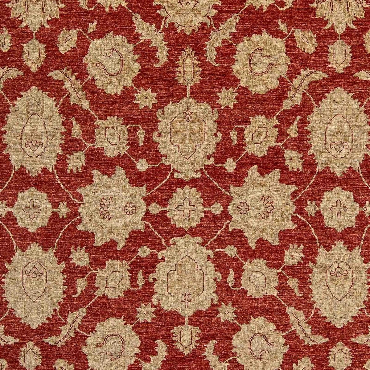 Alfombra Ziegler - 321 x 244 cm - rojo oscuro