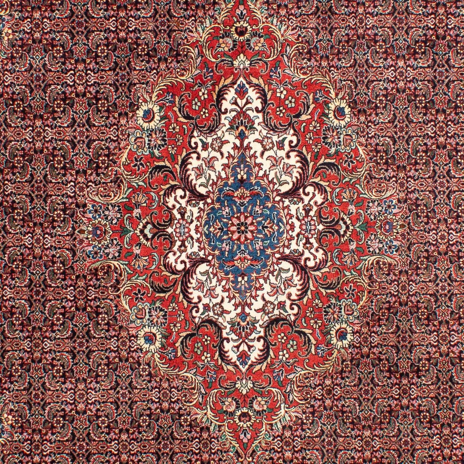 Alfombra persa - Bidjar - 304 x 198 cm - rojo claro