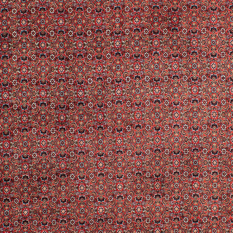 Alfombra persa - Bidjar - 299 x 203 cm - rojo claro