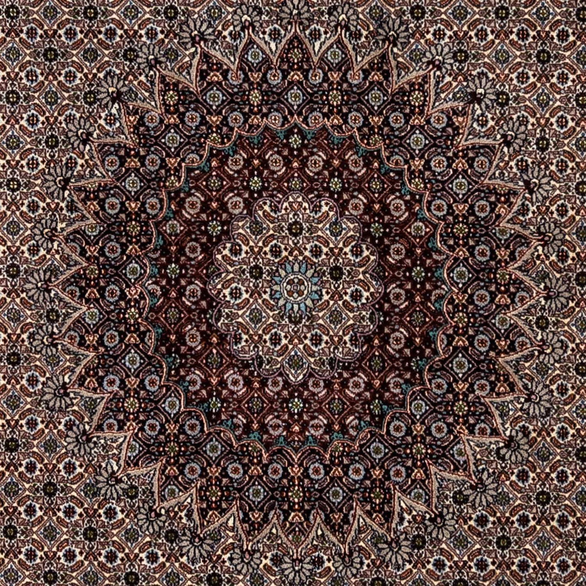 Alfombra persa - Clásica - 345 x 243 cm - beige