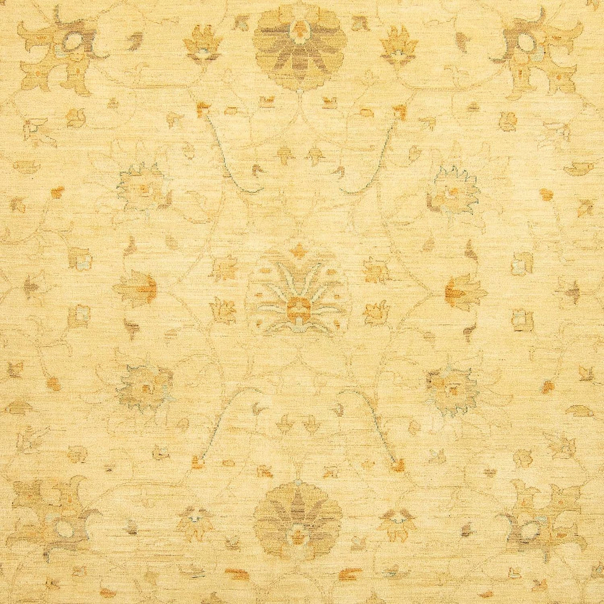 Alfombra Ziegler - 349 x 274 cm - beige