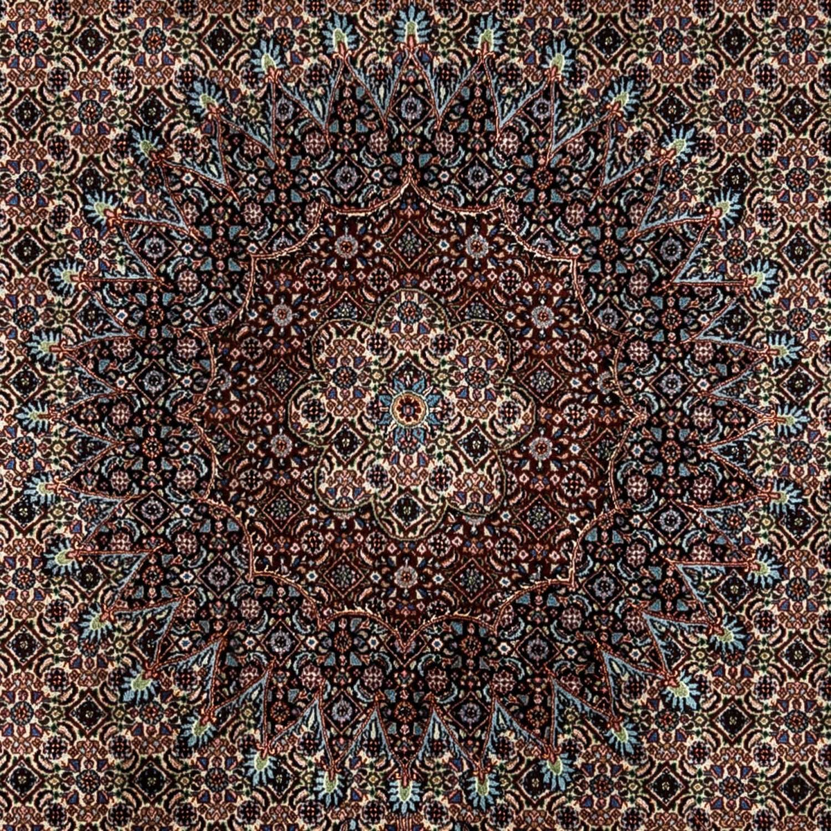 Alfombra persa - Clásica - 346 x 250 cm - beige