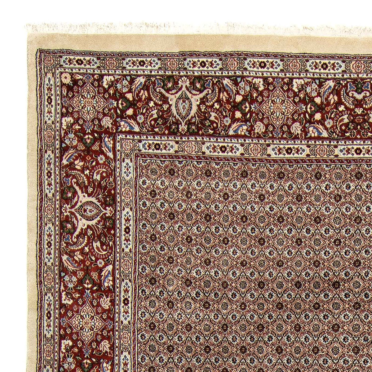 Alfombra persa - Clásica - 345 x 245 cm - multicolor