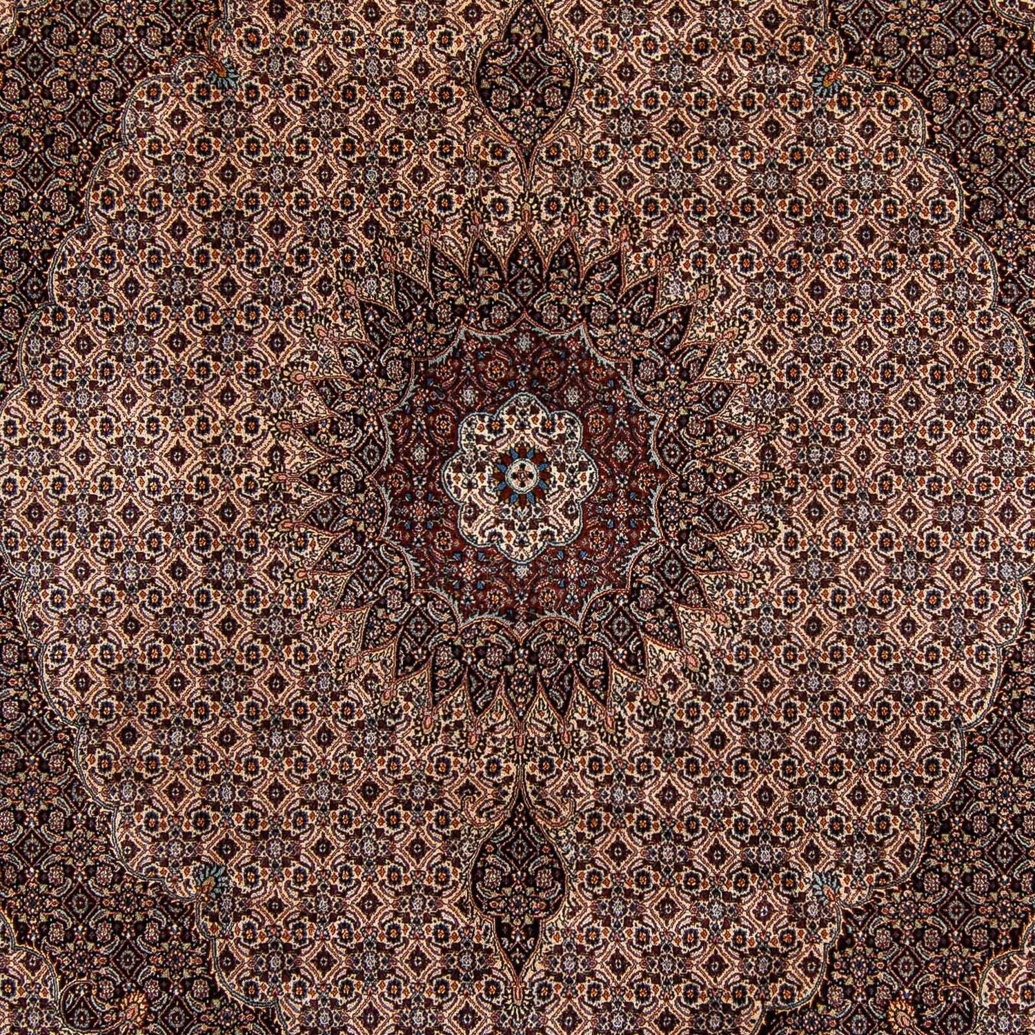 Alfombra persa - Clásica - 305 x 251 cm - marrón oscuro