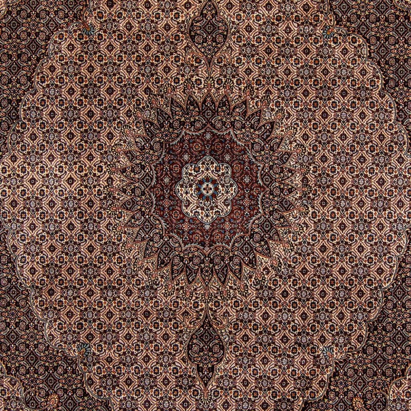 Alfombra persa - Clásica - 305 x 251 cm - marrón oscuro