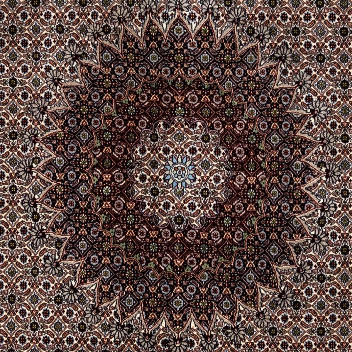 Alfombra persa - Clásica - 350 x 245 cm - beige