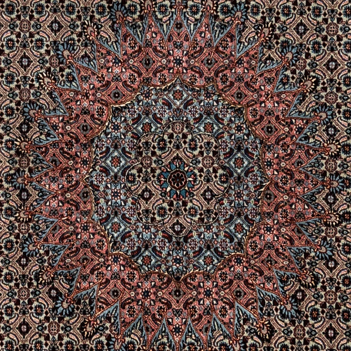 Alfombra persa - Clásica - 347 x 252 cm - chocolate claro