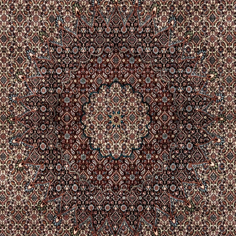 Alfombra persa - Clásica - 333 x 248 cm - beige