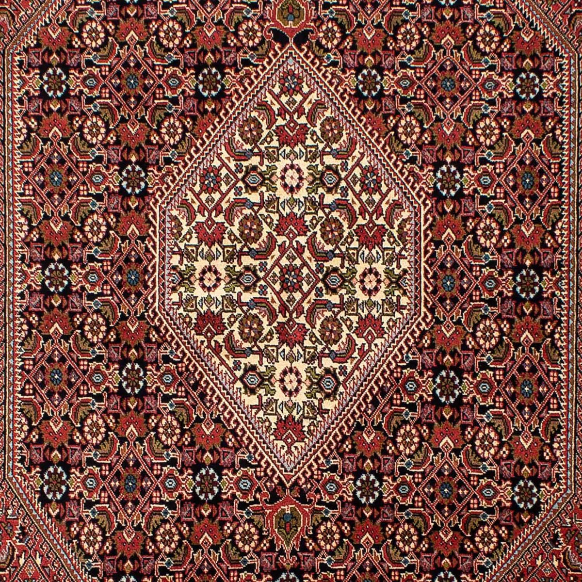 Alfombra persa - Bidjar - 270 x 171 cm - marrón