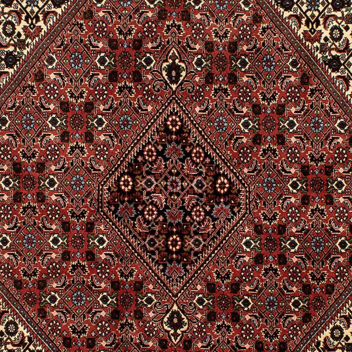 Alfombra persa - Bidjar - 244 x 171 cm - rojo oscuro