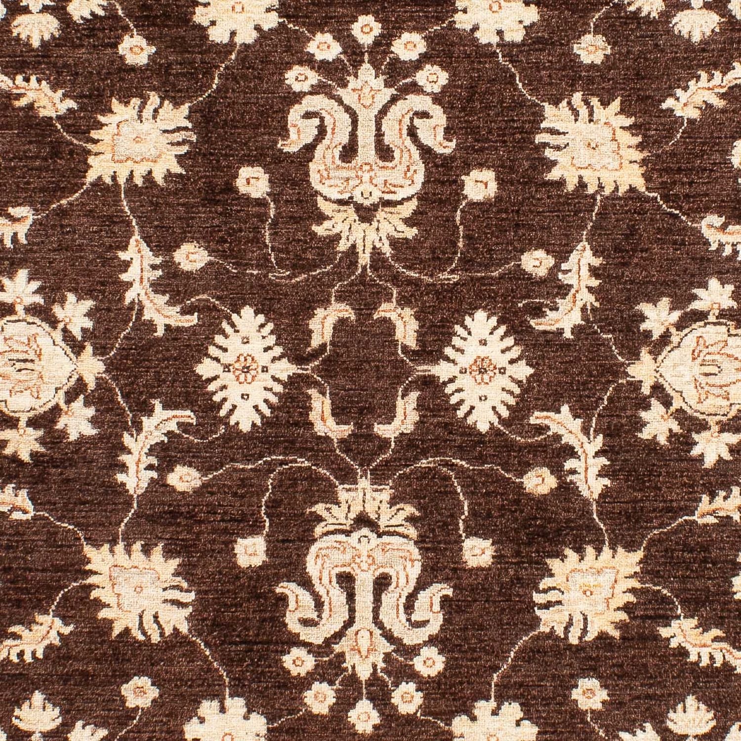 Alfombra Ziegler - 235 x 164 cm - marrón
