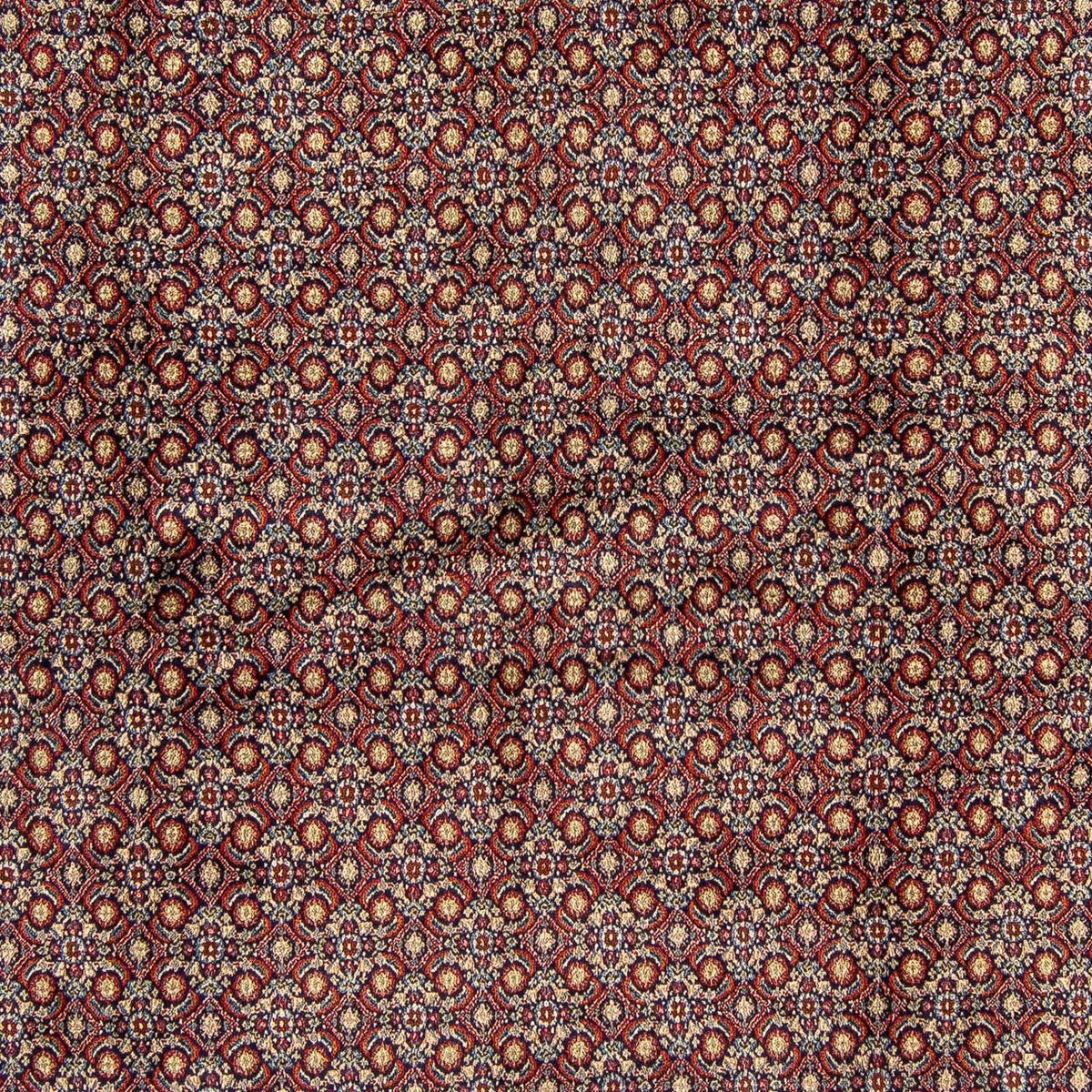 Alfombra persa - Clásica cuadrado  - 252 x 252 cm - multicolor