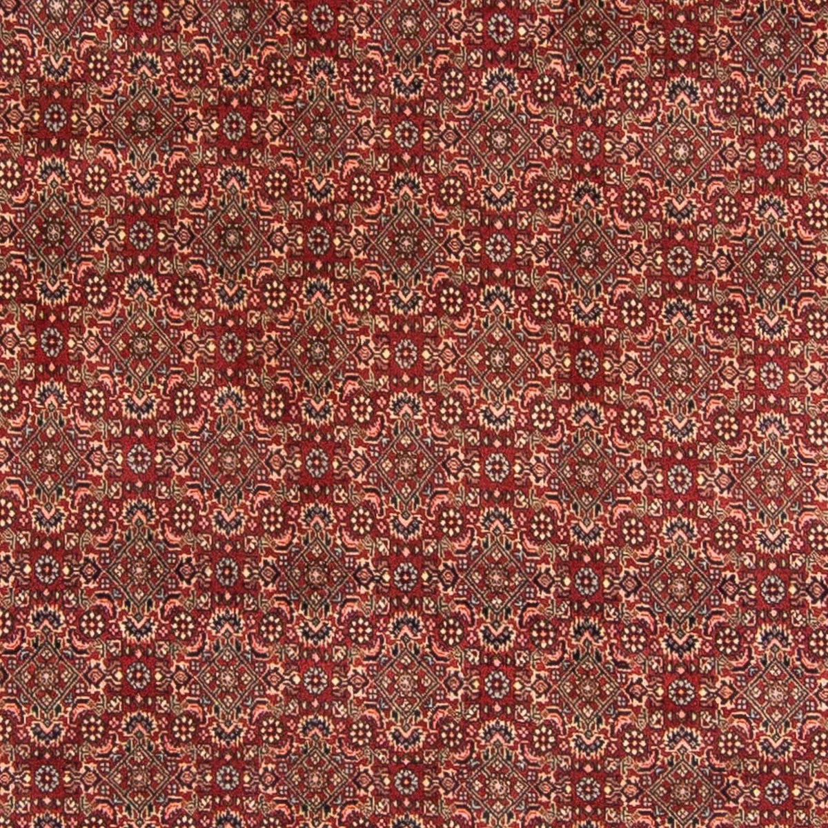 Alfombra persa - Bidjar - 298 x 200 cm - rojo oscuro